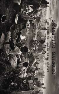 Genesis Books
