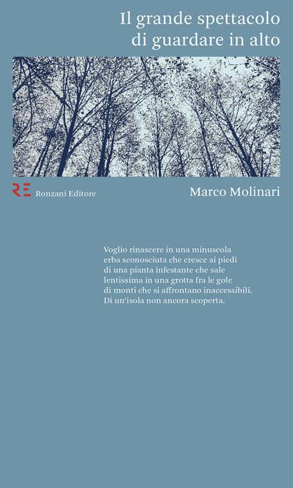 Il grande spettacolo di guardare in alto - Marco Molinari - ebook
