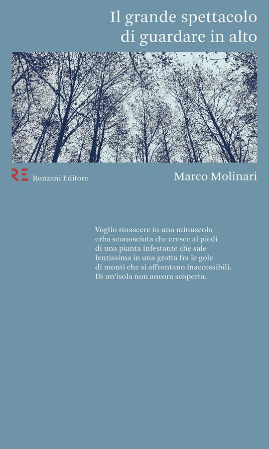 Il grande spettacolo di guardare in alto - Marco Molinari - ebook