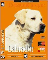 Labrador retriever. DVD - copertina