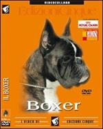 Boxer. DVD