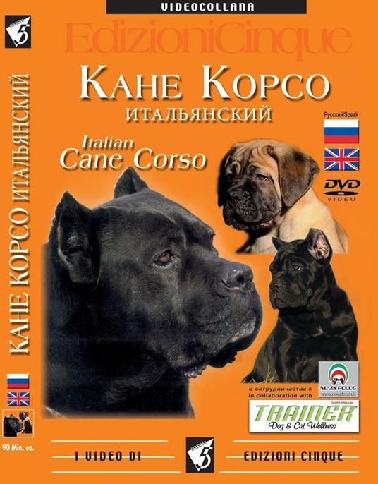 Cane corso. Ediz. inglese e russa. DVD - copertina