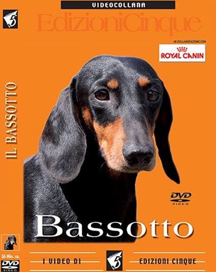 Bassotti. DVD - copertina