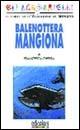 Balenottera mangiona - Francesca Chessa - copertina
