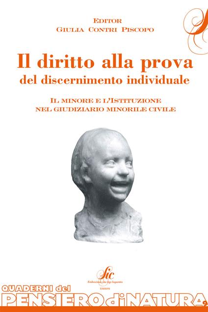 Il diritto alla prova del discernimento individuale. Il minore e l'istituzione nel giudiziario minorile civile - copertina
