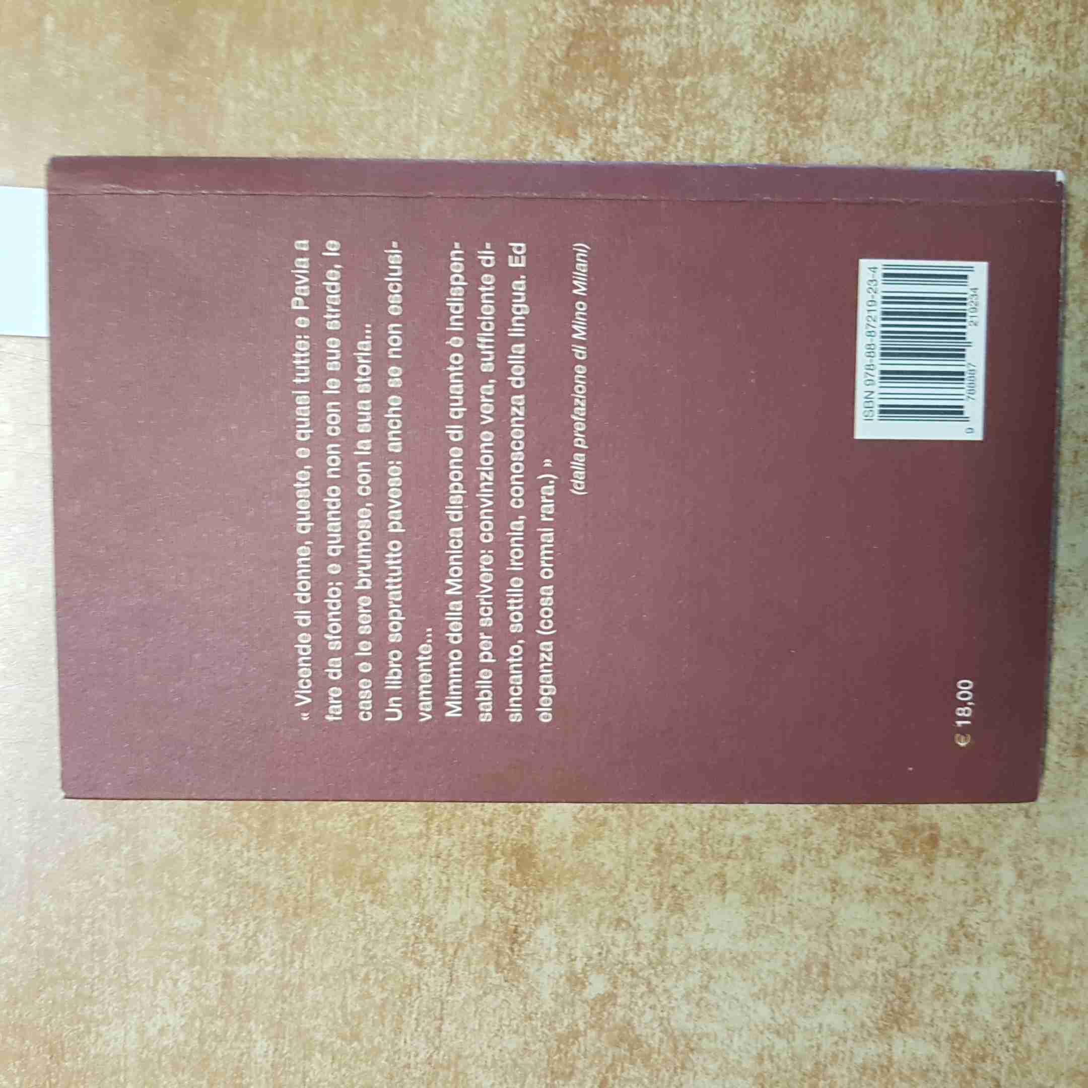 Pavia, la pioggia... l'amore