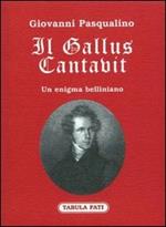Il gallus cantavit. Un enigma belliniano