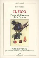 Il fico pianta mediterranea della fortuna. Antiche varietà per frutteto familiare, il giardino e il terrazzo