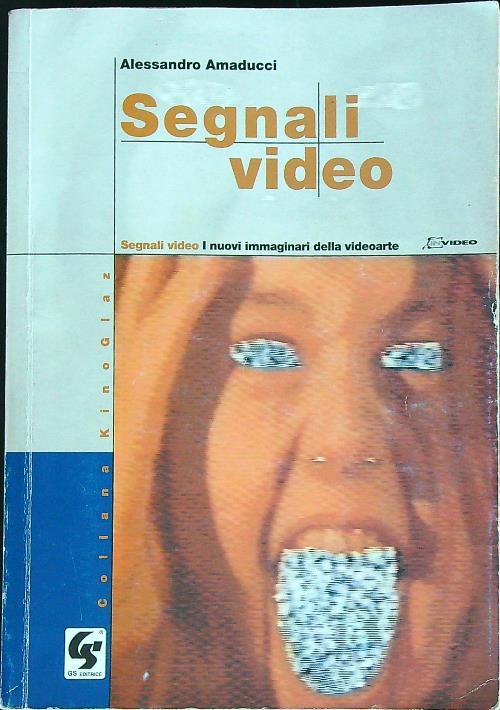 Segnali video. I nuovi immaginari della videoarte