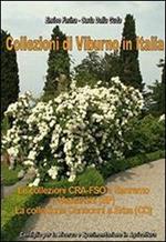 Collezioni di Viburno in Italia. Le collezioni CRA-FSO di Sanremo e Vezzanelli e la collezione Consonni di Erba