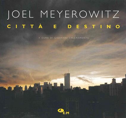 Città e destino. Ediz. a colori - Joel Meyerowitz - copertina