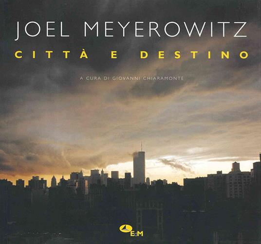 Città e destino. Ediz. a colori - Joel Meyerowitz - copertina