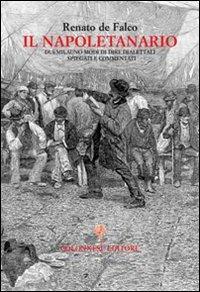 Il napoletanario. Duemilauno modi di dire dialettali spiegati e commentati