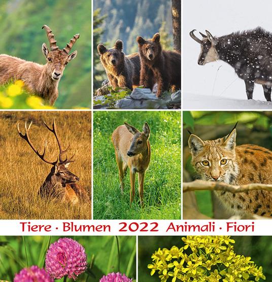 Alpentiere und blumen-Animali e fiori-Alpine animals and flowers 2022. Calendario cartolina 17x17cm - Peter Malfertheiner - copertina