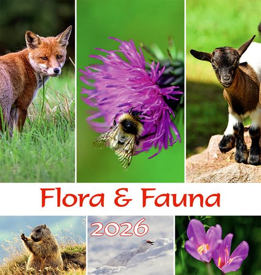 Flora-fauna calendario-Tiere- blumen Kalender 2026. Ediz. multilingue - copertina