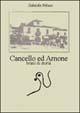Libro Cancello ed Arnone. Brani di storia Gabriele Peluso