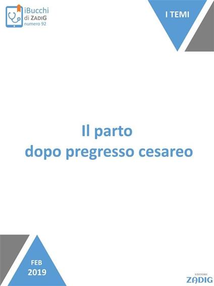Il parto dopo pregresso cesareo - Simona Fumagalli,Maria Panzeri - ebook