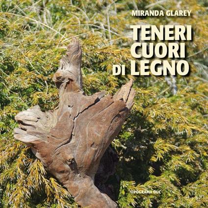 Teneri cuori di legno - Miranda Glarey - copertina