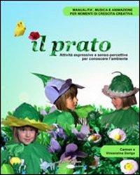 Il prato. Attività espressive e senso-percettive per conoscere l'ambiente. Con CD-ROM - Carmen Dorigo,Vincenzina Dorigo Orio - copertina