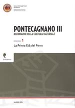 Pontecagnano III. Dizionario della cultura materiale. Vol. 1: La prima età del ferro