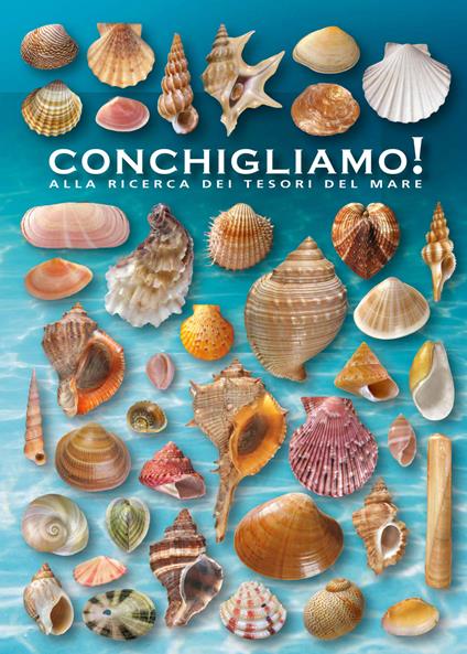 Conchigliamo! Alla ricerca dei tesori del mare. Ediz. illustrata - Giorgio Lazzari,Delio Mancini - copertina