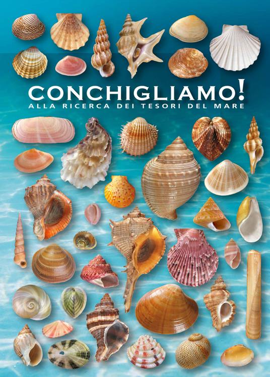Conchigliamo! Alla ricerca dei tesori del mare. Ediz. illustrata - Giorgio Lazzari,Delio Mancini - copertina