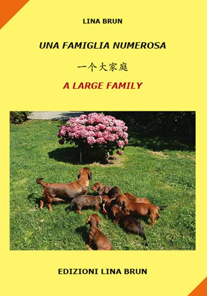 Una famiglia numerosa. Ediz. italiana, cinese e inglese - Lina Brun - copertina
