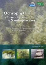 Ochrophyta (Phaeophyceae e Xanthophyceae). Ambienti di transizione e litorali adiacenti