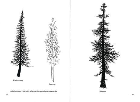 Disegnare un albero - Bruno Munari - 5