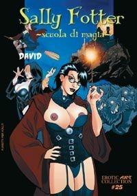 Libro Sally Fotter. Scuola di magia David