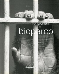 Folignolibri