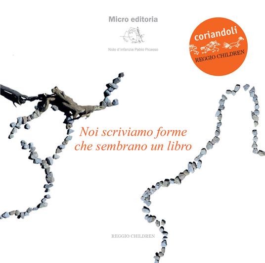 Noi scriviamo forme che sembrano un libro - copertina