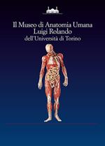 Il museo di anatomia umana Luigi Rolando dell'Università di Torino