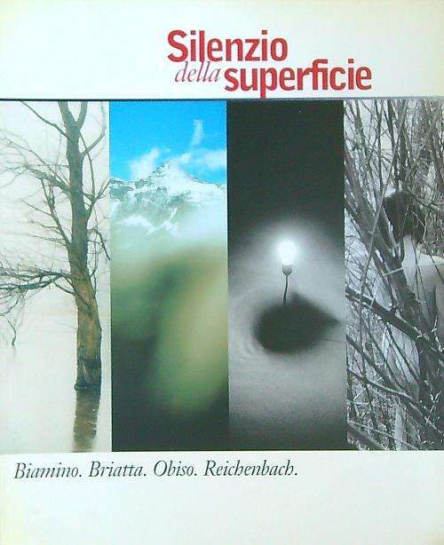 Silenzio della superficie. Biamino, Briatta, Obiso, Reichenbach