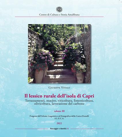 Il lessico rurale della Costiera Amalfitana. Terrazzamenti, macère, viticoltura, limonicoltura, olivicoltura, lavorazione del carbone. Vol. 3 - Giuseppe Vitolo - copertina