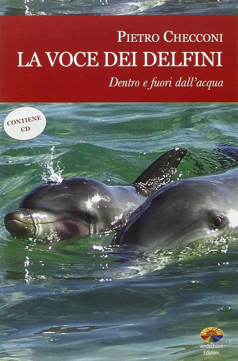 Librisaggi