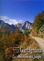 Garfagnana: la tradizione dei funghi
