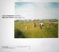 Interlinea Magnagallo est. Ediz. bilingue - Cesare Ballardini,Marcello Galvani - copertina