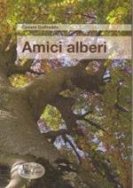 Amico albero