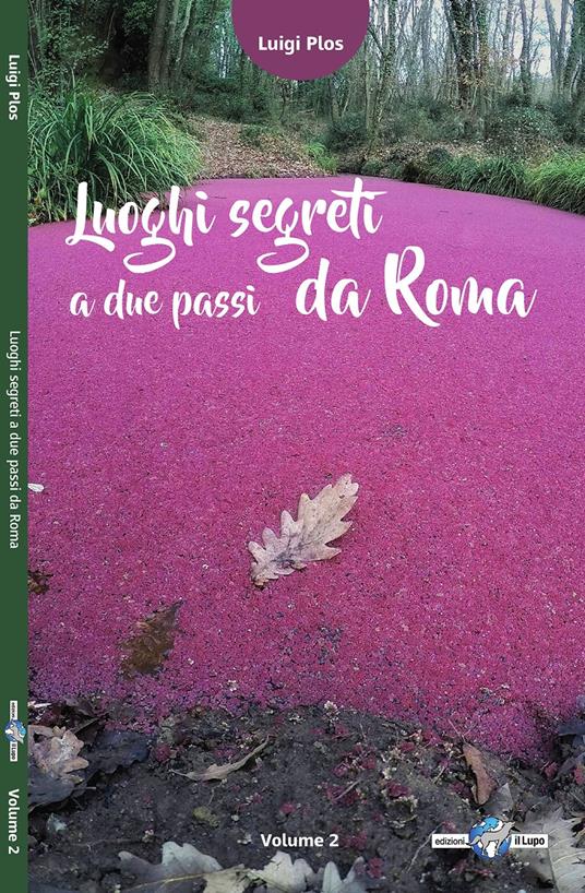 Luoghi segreti a due passi da Roma. Vol. 2 - Luigi Plos - copertina