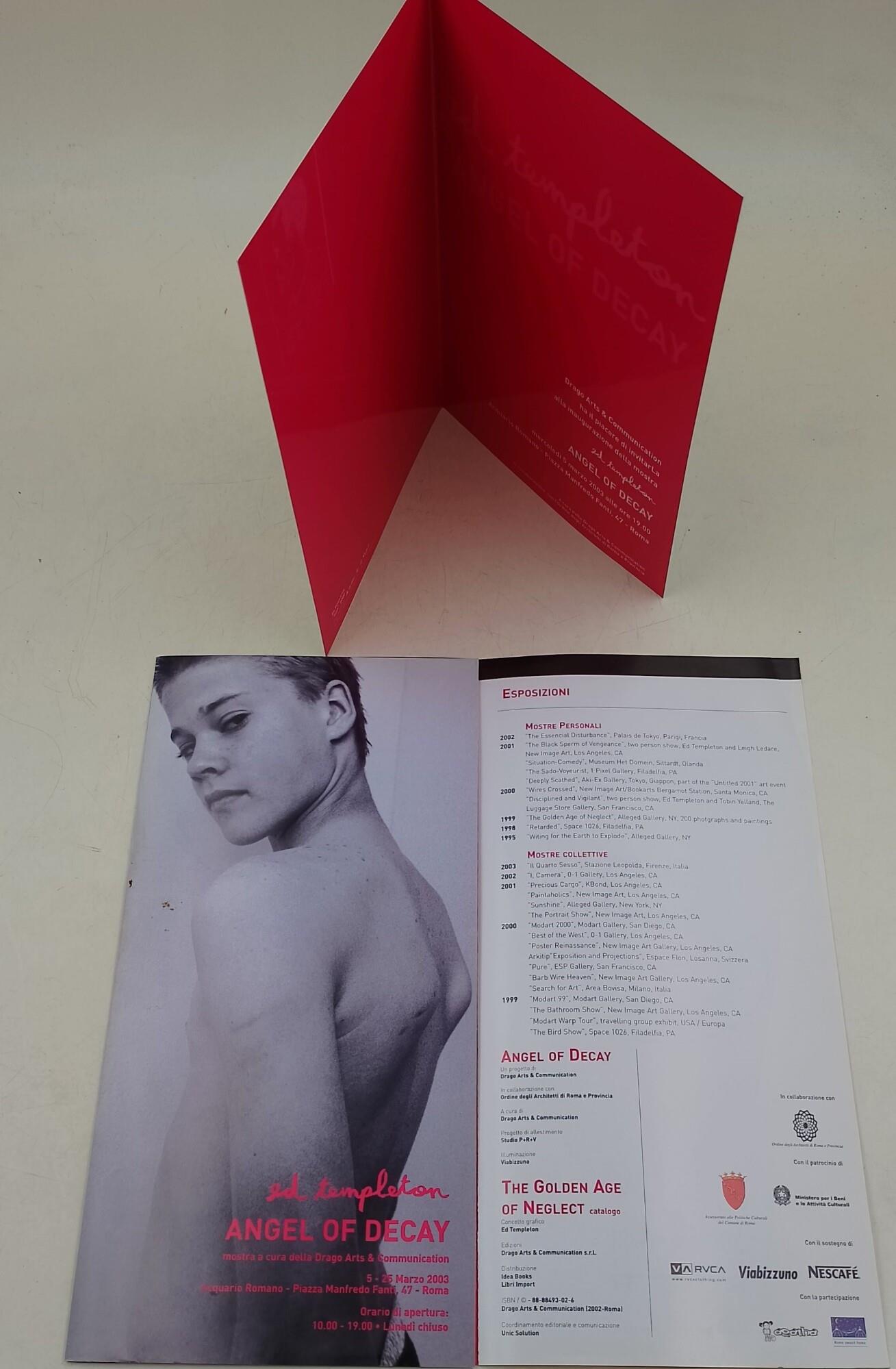 The golden age of neglect. Ediz. illustrata