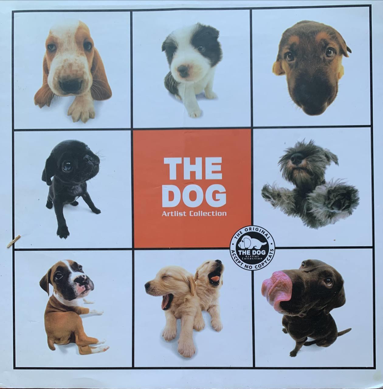 Dog. Ediz. illustrata