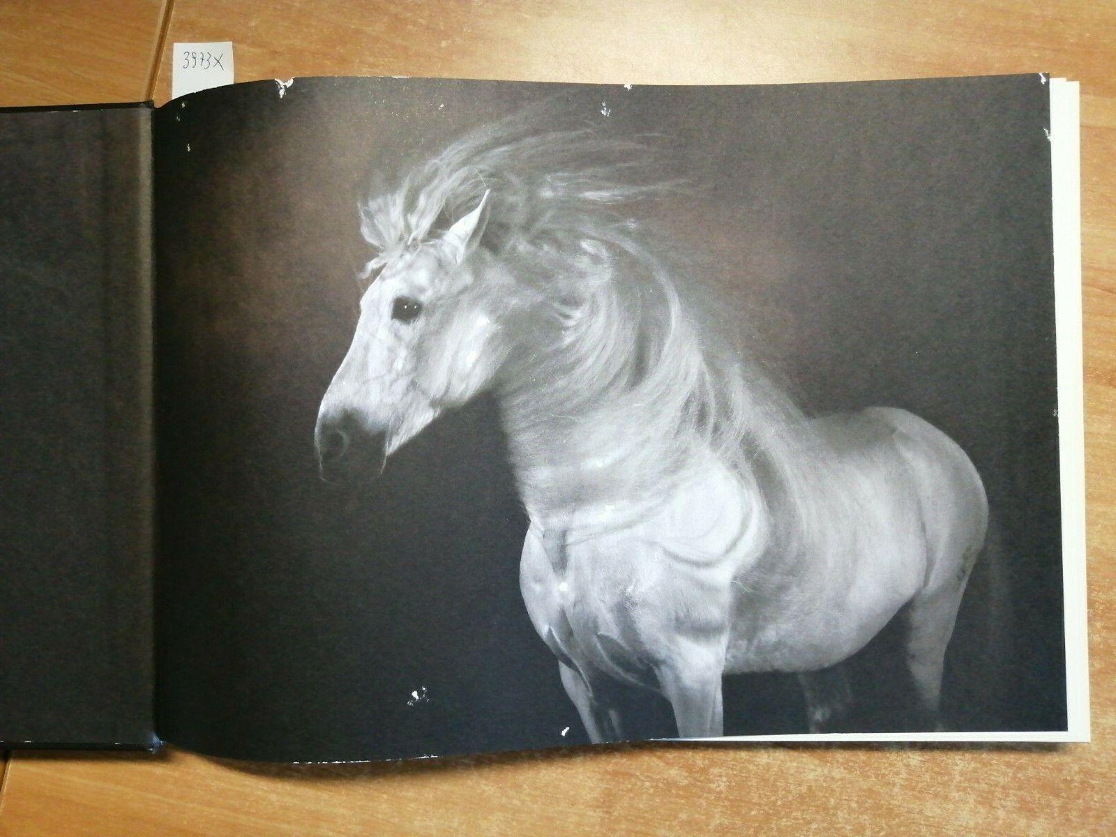 Cavalli. Ediz. illustrata