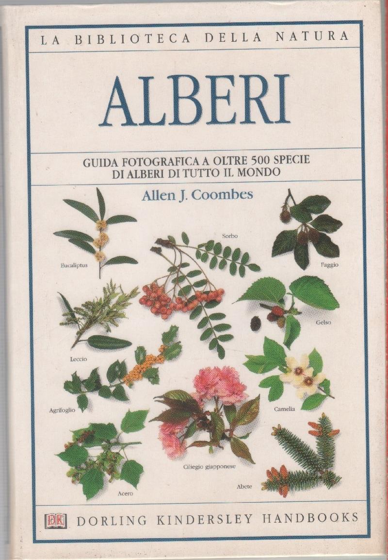 Alberi