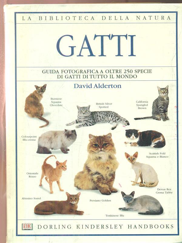 Gatti