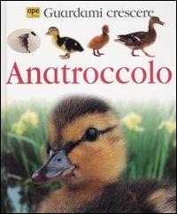 Anatroccolo. Guardami crescere - Lisa Magloff - copertina