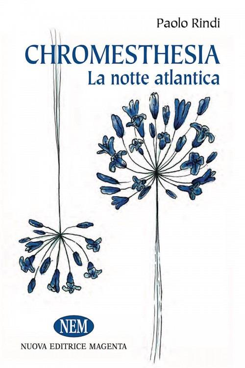 La notte atlantica. Chromoestesia - Paolo Rindi - copertina