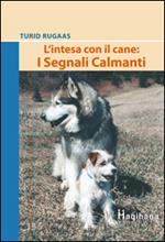 L' intesa con il cane: i segnali calmanti