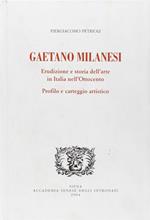 Gaetano Milanesi. Erudizione e storia dell'arte in Italia nell'Ottocento. Profilo e carteggio artistico