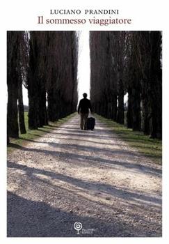 Libro Ombre di luce Graziana Bernabei